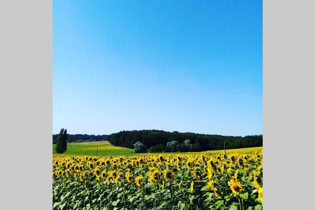 As Seen On A New Life In The Sun - Beautiful 3 Bedroom Cottage With Shared Pool Montboyer Zewnętrze zdjęcie
