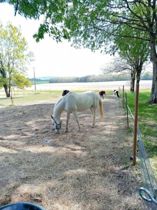As Seen On A New Life In The Sun - Beautiful 3 Bedroom Cottage With Shared Pool Montboyer Zewnętrze zdjęcie