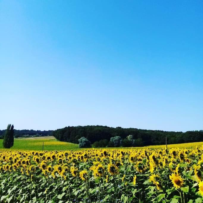As Seen On A New Life In The Sun - Beautiful 3 Bedroom Cottage With Shared Pool Montboyer Zewnętrze zdjęcie